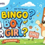 is-bingo-a-boy-or-girl-
