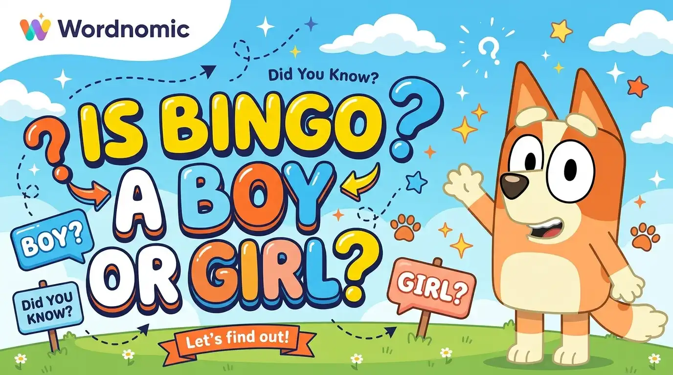 is-bingo-a-boy-or-girl-