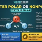 Is Water Polar or Nonpolar