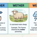 whether-or-wether